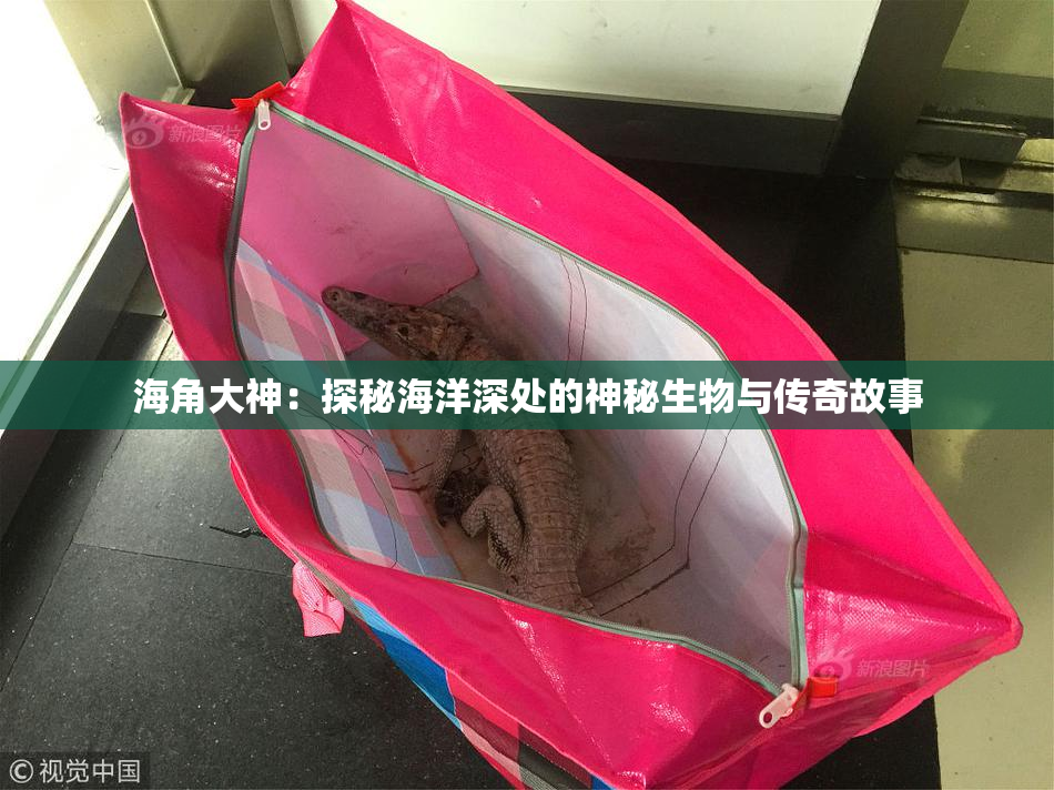 海角大神：探秘海洋深处的神秘生物与传奇故事