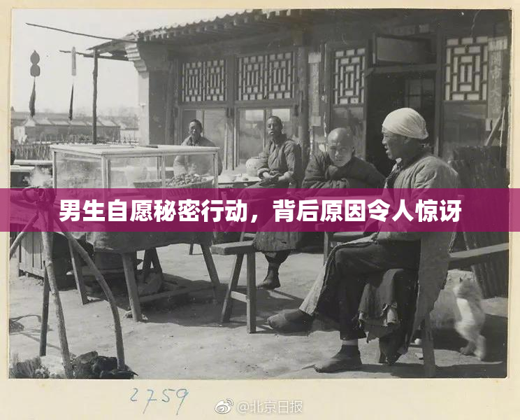 男生自愿秘密行动，背后原因令人惊讶