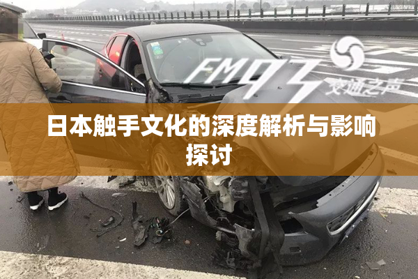 日本触手文化的深度解析与影响探讨