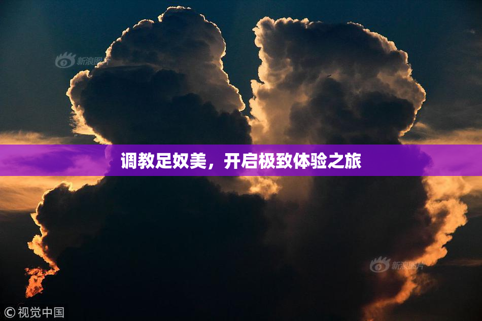 调教足奴美，开启极致体验之旅