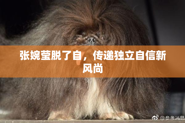 张婉莹脱了自，传递独立自信新风尚