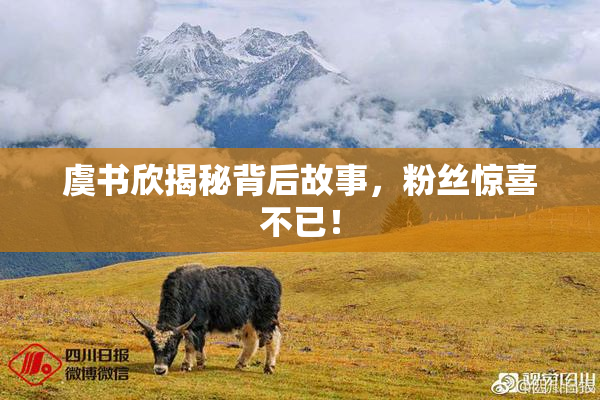 虞书欣揭秘背后故事，粉丝惊喜不已！