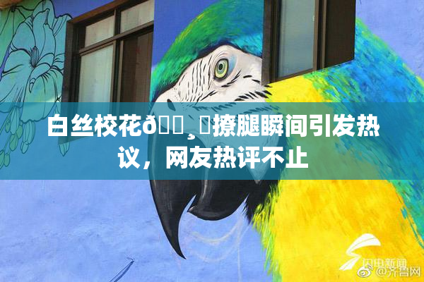 白丝校花🌸‌撩腿瞬间引发热议，网友热评不止
