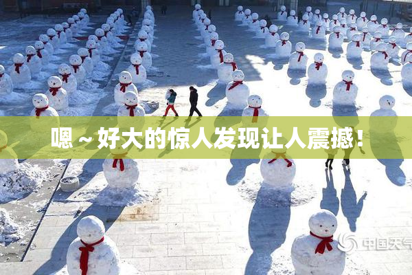 嗯～好大的惊人发现让人震撼！