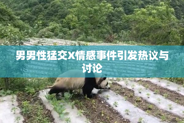 男男性猛交X情感事件引发热议与讨论