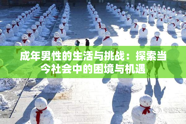 成年男性的生活与挑战：探索当今社会中的困境与机遇