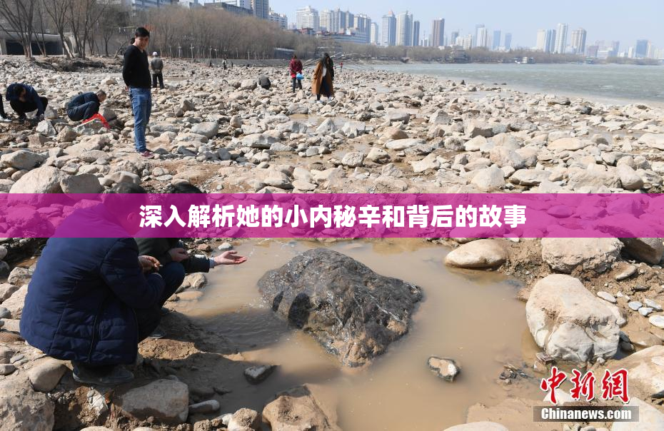深入解析她的小内秘辛和背后的故事