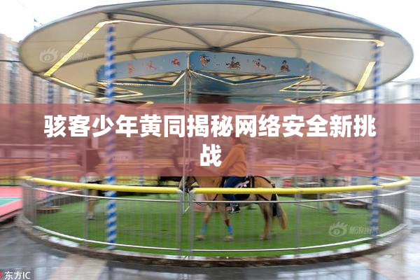 骇客少年黄同揭秘网络安全新挑战