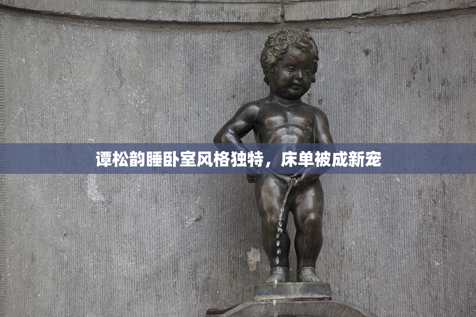 谭松韵睡卧室风格独特，床单被成新宠