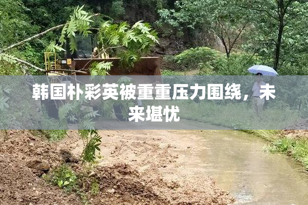 韩国朴彩英被重重压力围绕，未来堪忧