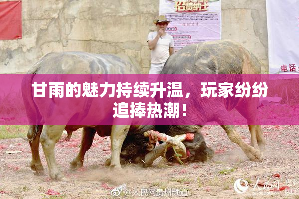 甘雨的魅力持续升温，玩家纷纷追捧热潮！