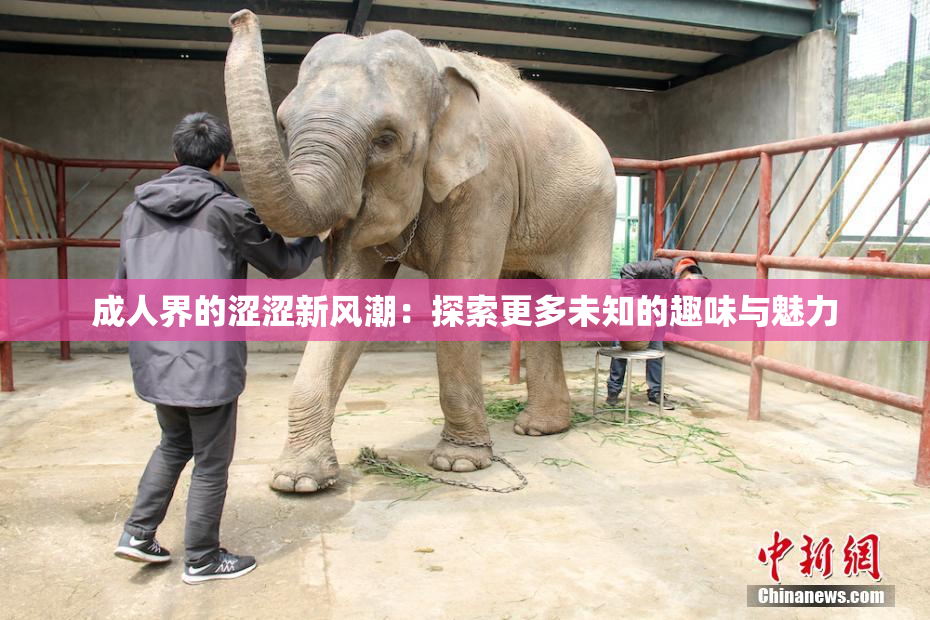 成人界的涩涩新风潮：探索更多未知的趣味与魅力