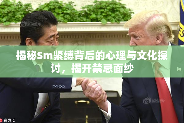 揭秘Sm紧缚背后的心理与文化探讨，揭开禁忌面纱