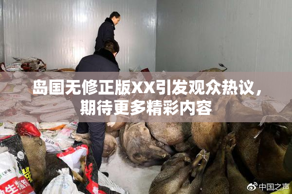 岛国无修正版XX引发观众热议，期待更多精彩内容