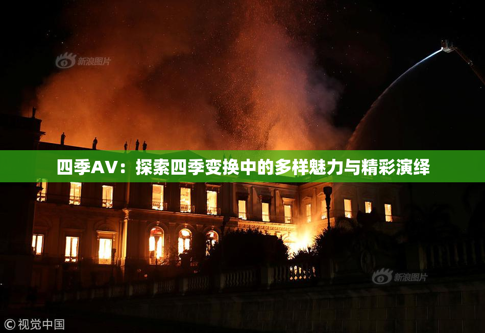 四季AV：探索四季变换中的多样魅力与精彩演绎