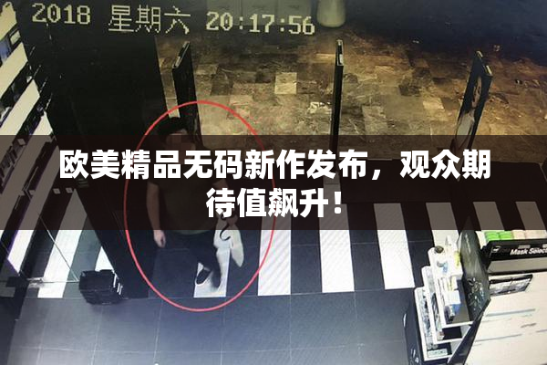 欧美精品无码新作发布，观众期待值飙升！