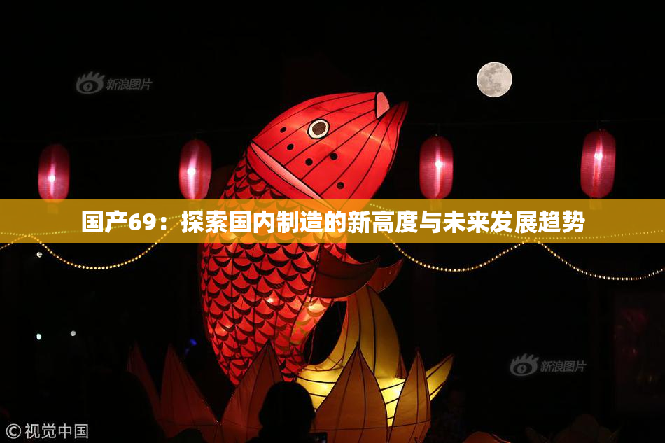 国产69：探索国内制造的新高度与未来发展趋势