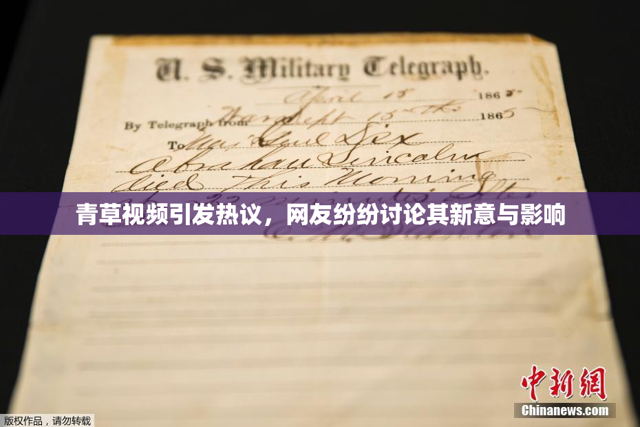 青草视频引发热议，网友纷纷讨论其新意与影响