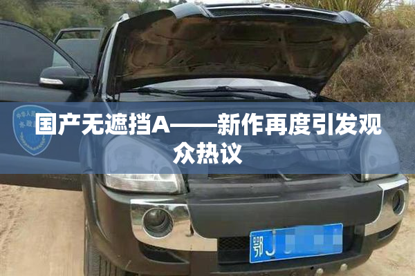 国产无遮挡A——新作再度引发观众热议