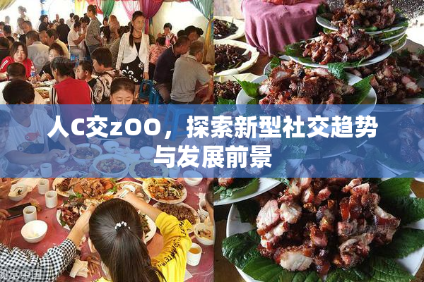 人C交zOO，探索新型社交趋势与发展前景