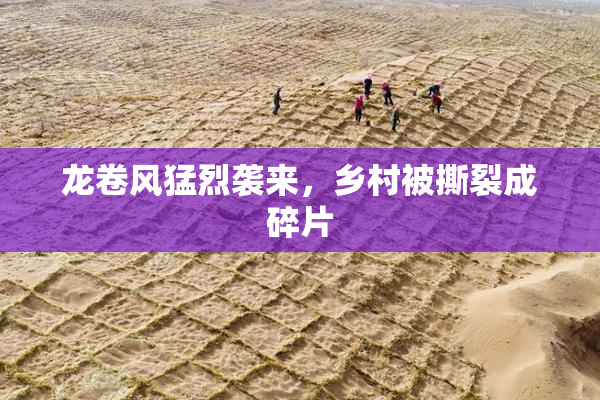 龙卷风猛烈袭来，乡村被撕裂成碎片