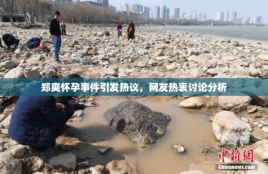 郑爽怀孕事件引发热议，网友热衷讨论分析