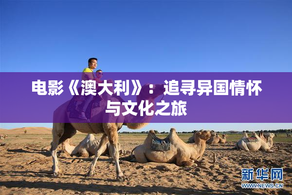 电影《澳大利》：追寻异国情怀与文化之旅
