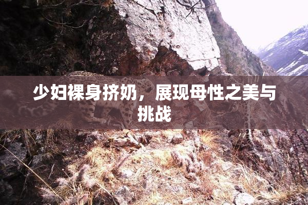 少妇裸身挤奶，展现母性之美与挑战