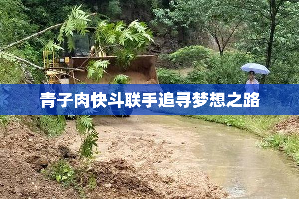 青子肉快斗联手追寻梦想之路
