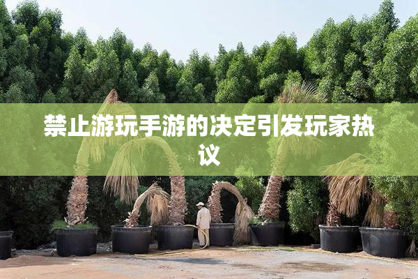 禁止游玩手游的决定引发玩家热议