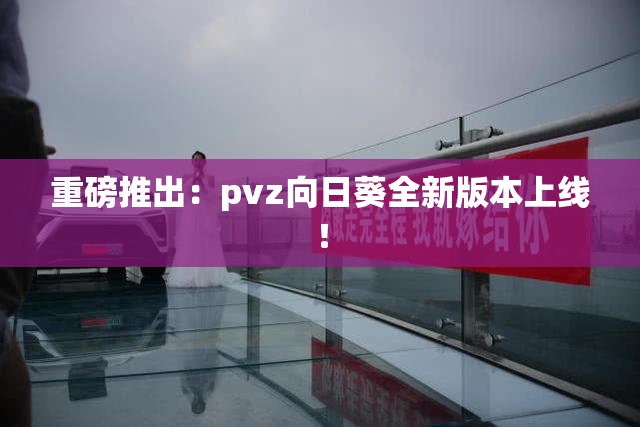 重磅推出：pvz向日葵全新版本上线！