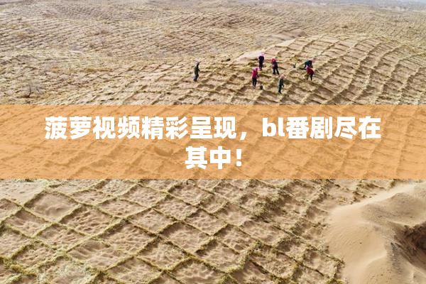 菠萝视频精彩呈现，bl番剧尽在其中！