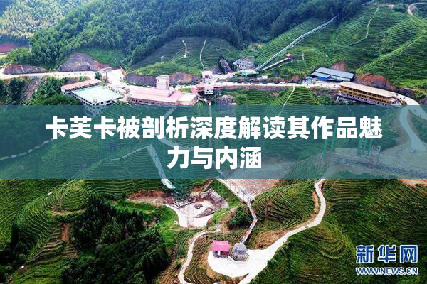 卡芙卡被剖析深度解读其作品魅力与内涵