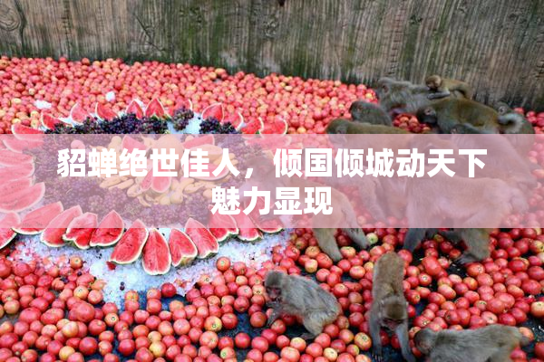 貂蝉绝世佳人，倾国倾城动天下魅力显现