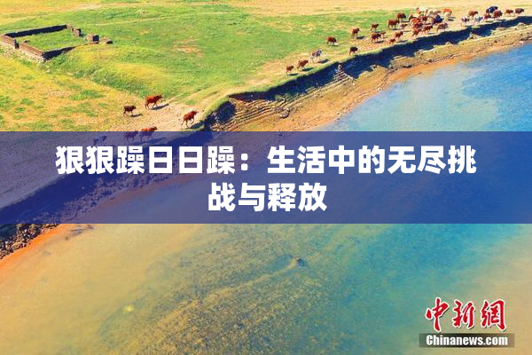 狠狠躁日日躁：生活中的无尽挑战与释放