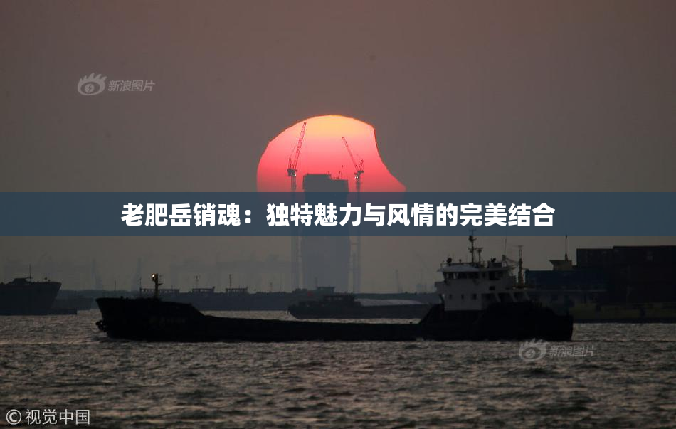 老肥岳销魂：独特魅力与风情的完美结合