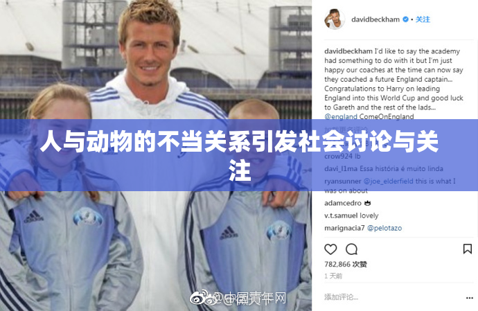 人与动物的不当关系引发社会讨论与关注