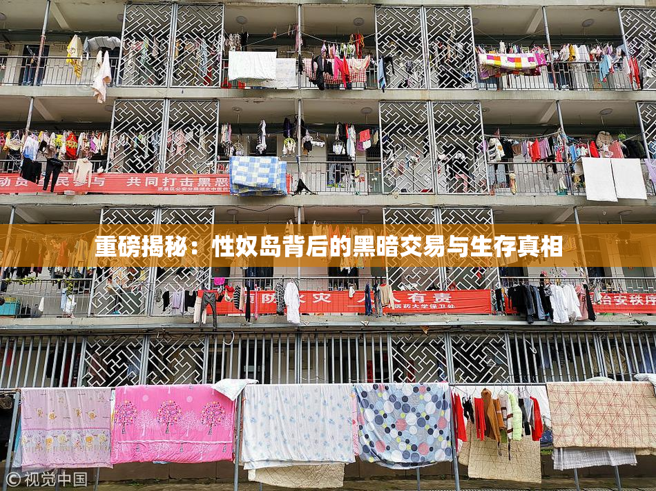 重磅揭秘：性奴岛背后的黑暗交易与生存真相