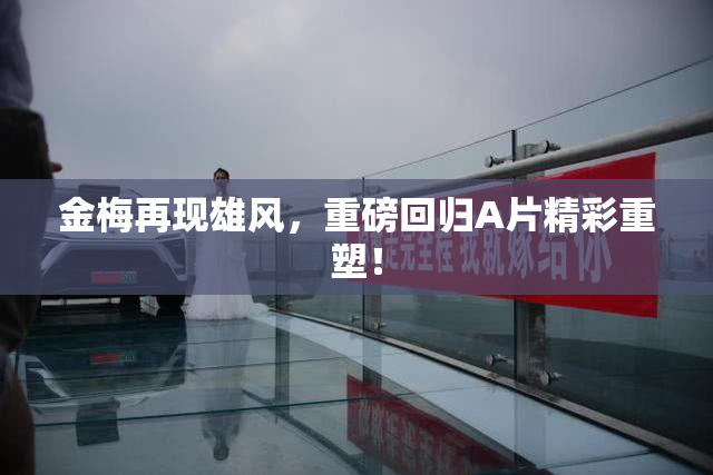 金梅再现雄风，重磅回归A片精彩重塑！