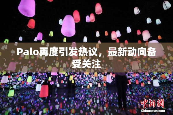 Palo再度引发热议，最新动向备受关注