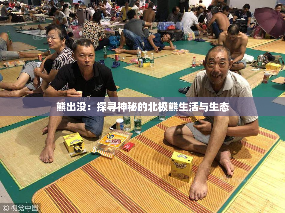 熊出没：探寻神秘的北极熊生活与生态