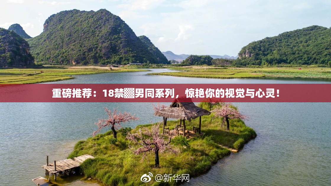 重磅推荐：18禁▓男同系列，惊艳你的视觉与心灵！