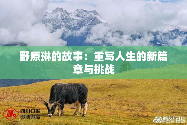 野原琳的故事：重写人生的新篇章与挑战
