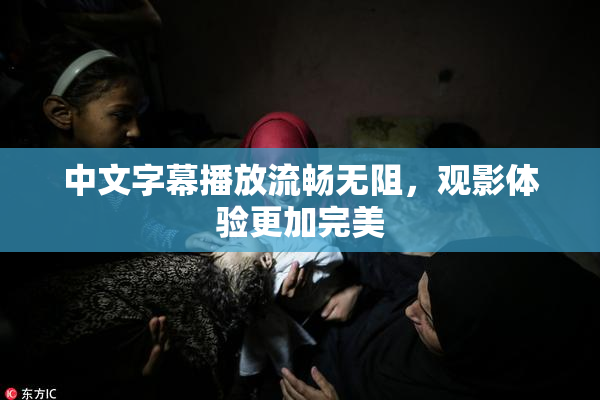 中文字幕播放流畅无阻，观影体验更加完美