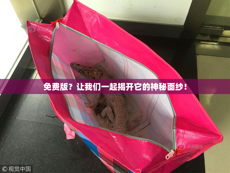 免费版？让我们一起揭开它的神秘面纱！