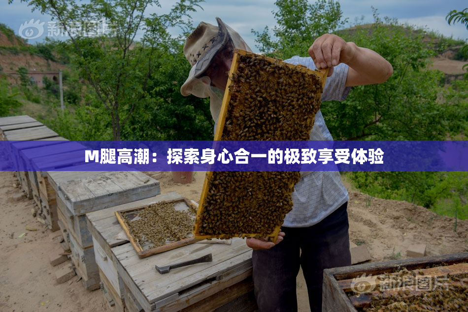 M腿高潮：探索身心合一的极致享受体验