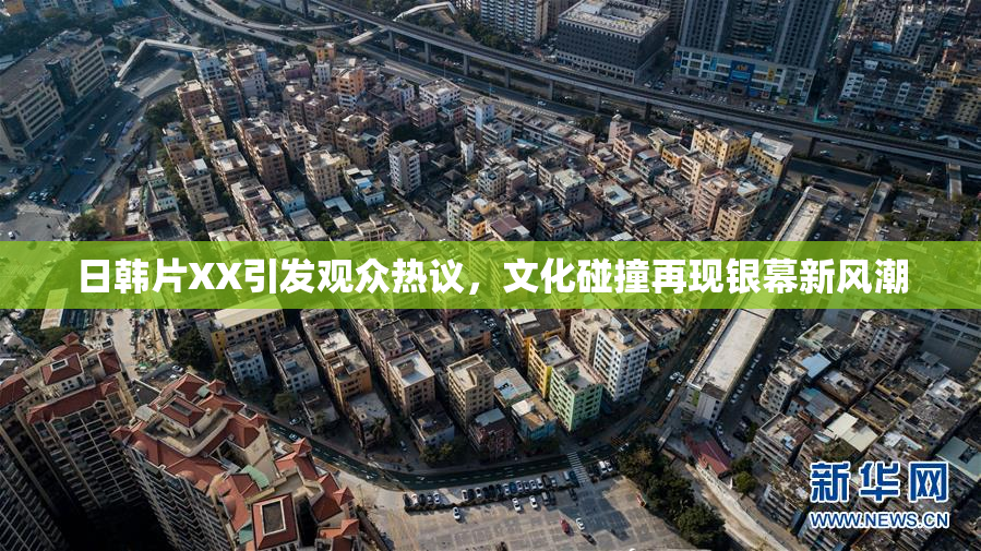 日韩片XX引发观众热议，文化碰撞再现银幕新风潮