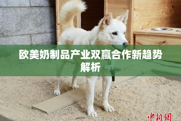 欧美奶制品产业双赢合作新趋势解析