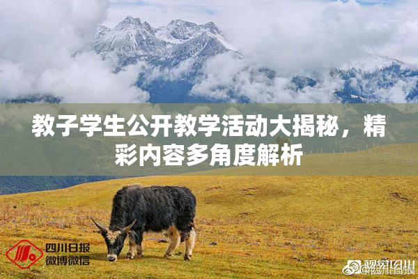 教子学生公开教学活动大揭秘，精彩内容多角度解析