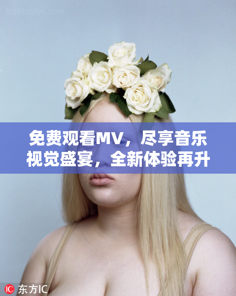 免费观看MV，尽享音乐视觉盛宴，全新体验再升级！